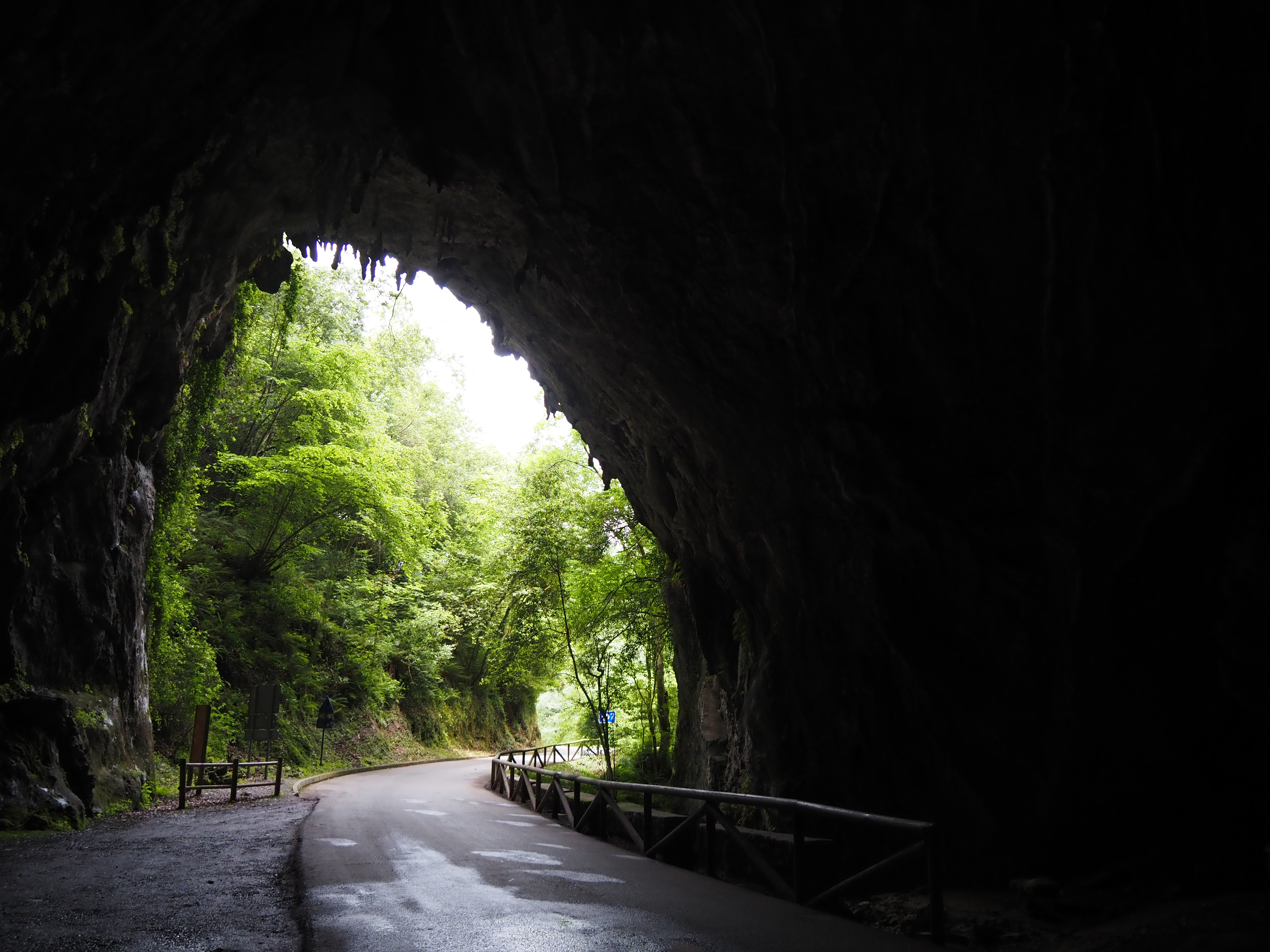 Sendero saliendo de una cueva grande a un bosque.